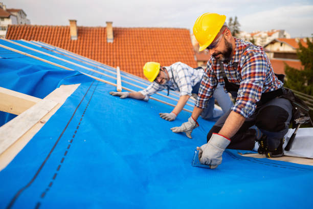 Best Green or Eco-Friendly Roofing Solutions  in North Brooksville, FL